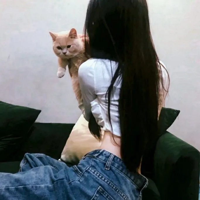 王冠的游戏：都铎家族