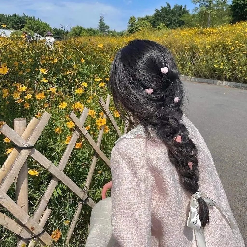 飞燕迎春