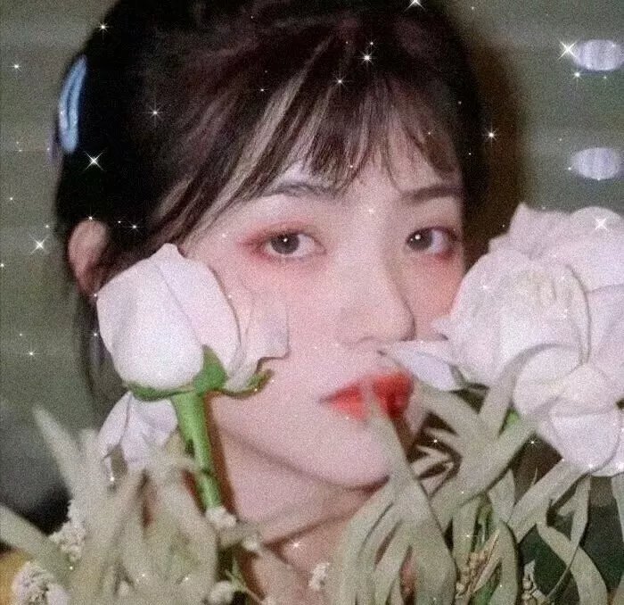 阳光下的冰器